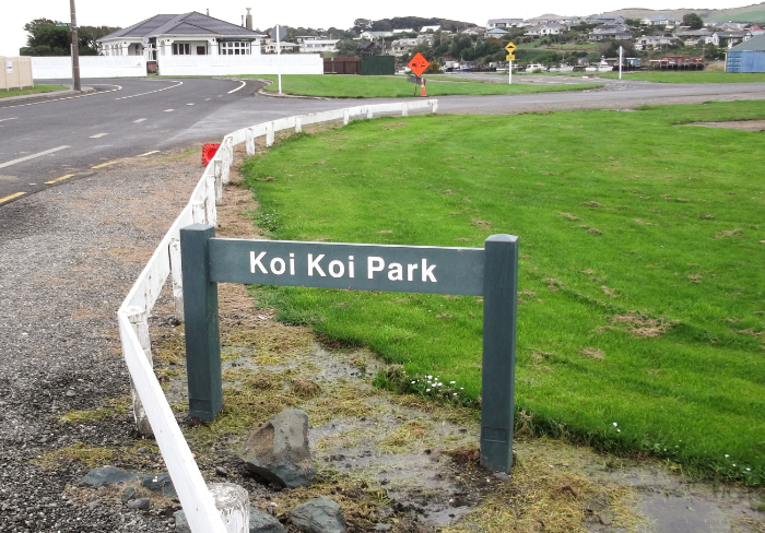 Koi Koi Park-2-415